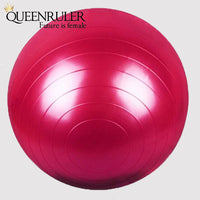 65cm Yoga Ball - Queenruler