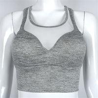 Mesh Sports Bra - Queenruler