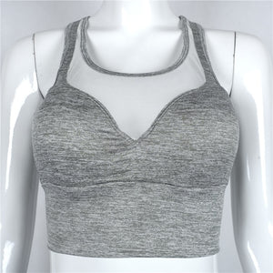 Mesh Sports Bra - Queenruler