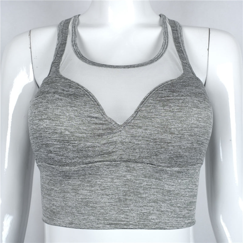 Mesh Sports Bra - Queenruler