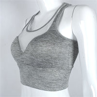 Mesh Sports Bra - Queenruler