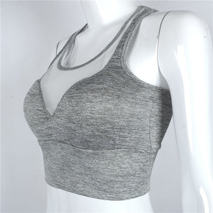 Mesh Sports Bra - Queenruler