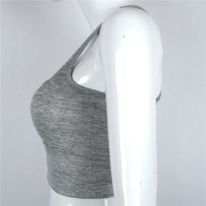 Mesh Sports Bra - Queenruler