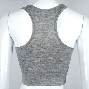 Mesh Sports Bra - Queenruler