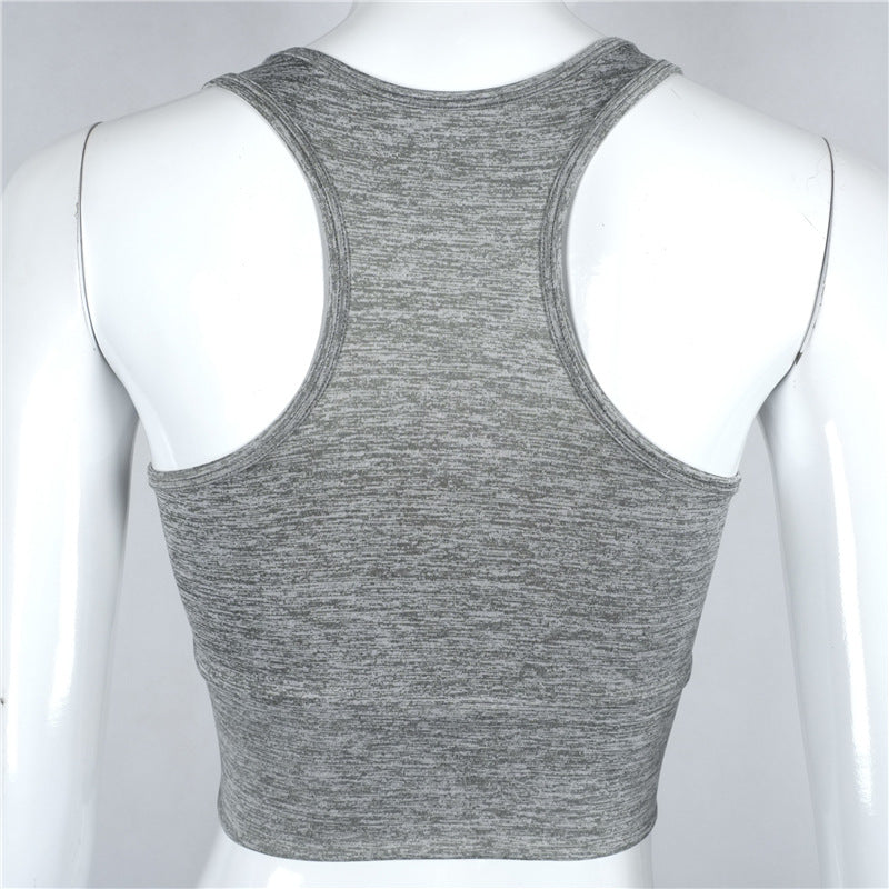 Mesh Sports Bra - Queenruler