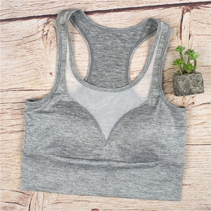 Mesh Sports Bra - Queenruler