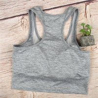 Mesh Sports Bra - Queenruler