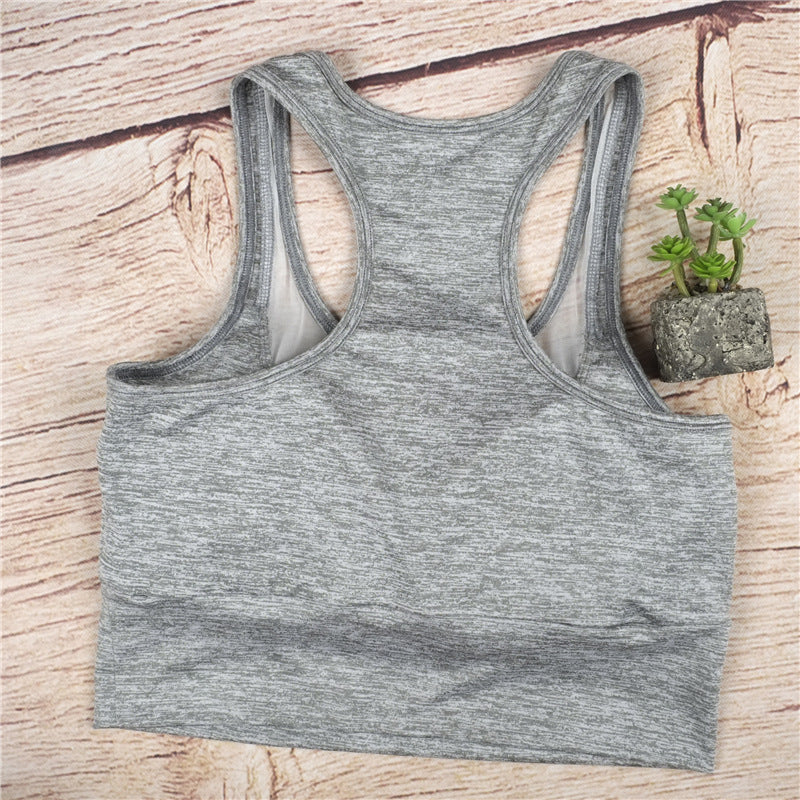 Mesh Sports Bra - Queenruler
