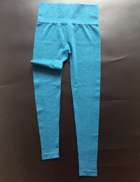 Quick Dry Yoga Pants (Blue) - Queenruler