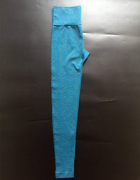 Quick Dry Yoga Pants (Blue) - Queenruler
