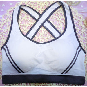 Sexy Padded Sports Bra (White) - Queenruler
